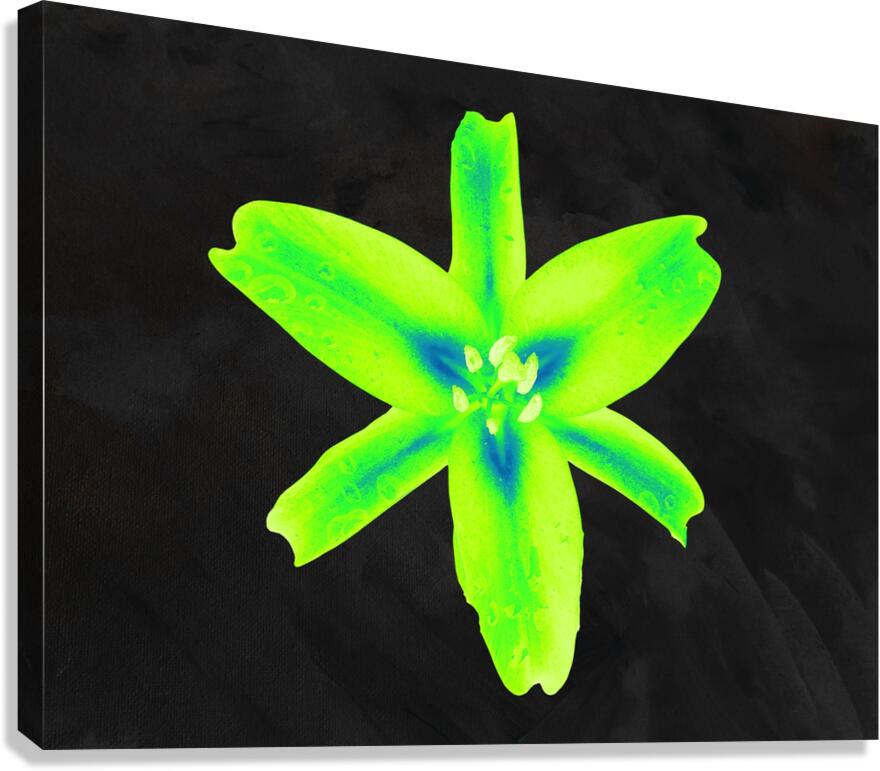  Abstract  Stunning Glowing Green Lily Canvas Print