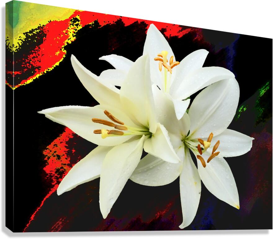  Abstract Trio of White Lilies on a Coloured Distressed Background Canvas Print