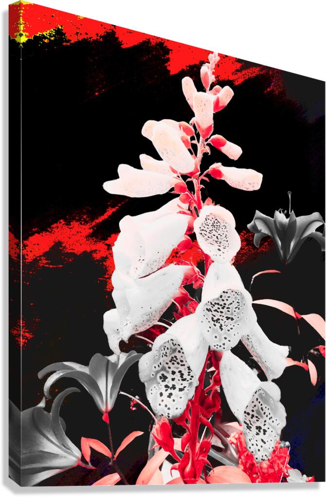 Abstract Dark Foxglove in Pink with Lilies Canvas Print