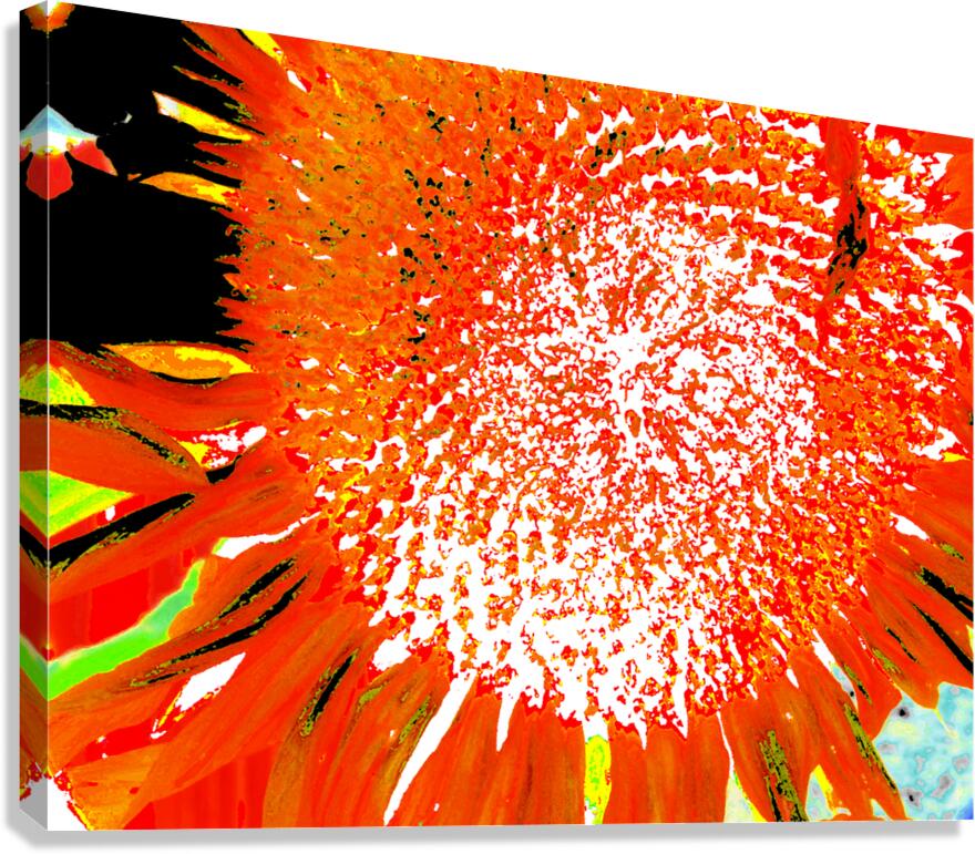 Abstract Vibrant Sunflower  Canvas Print