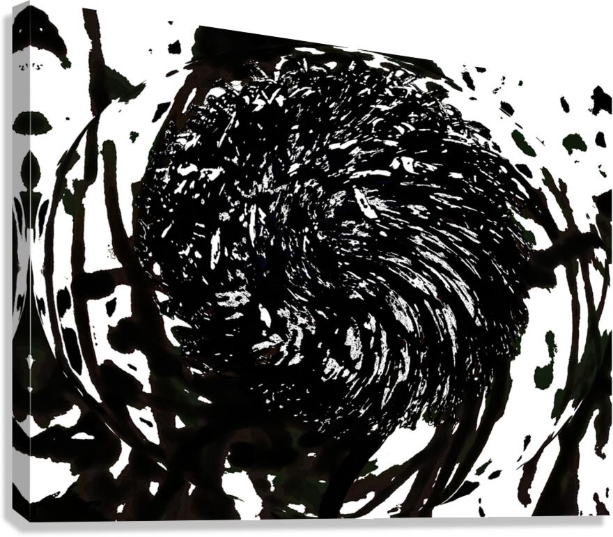  Abstract Swirling Black and White Woodland Plant Canvas Print