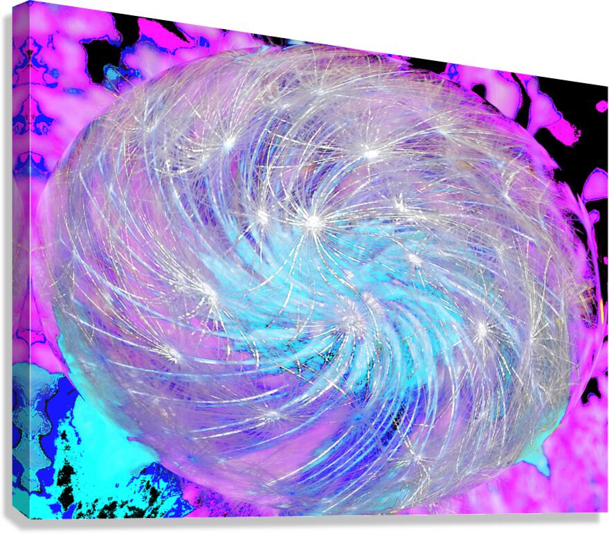 Abstract Swirling Dynamic Dandelion Canvas Print