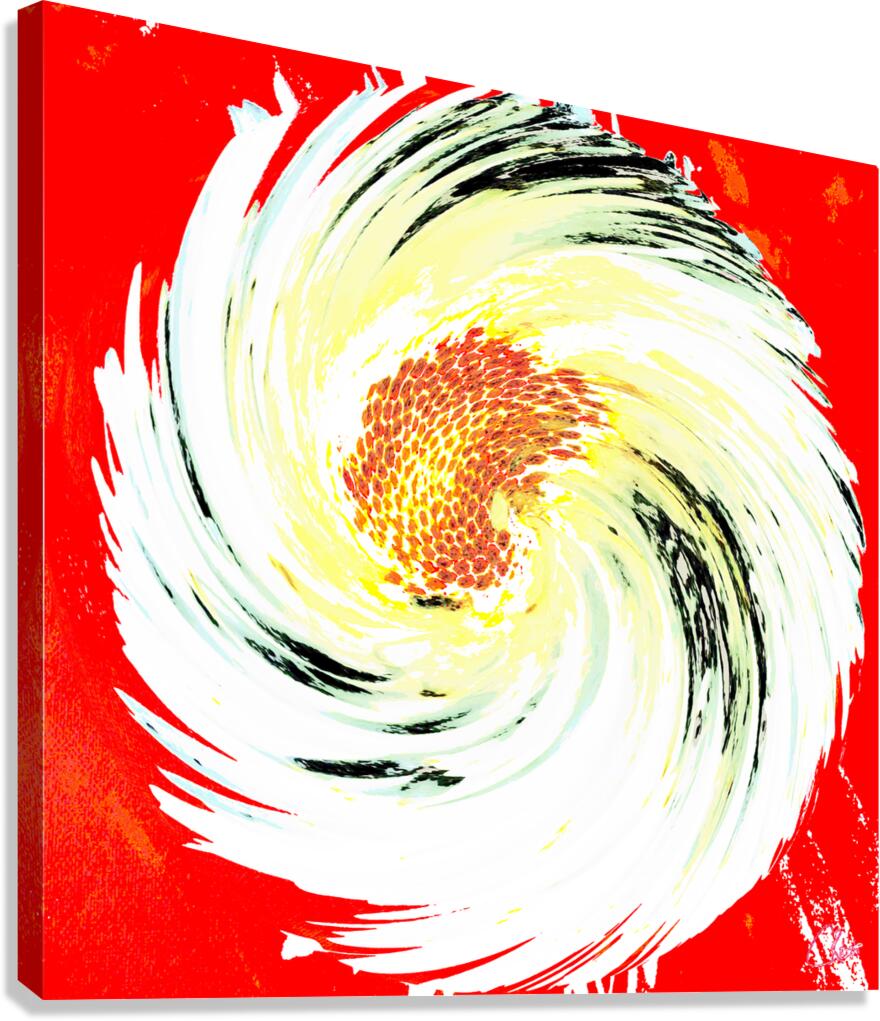  Abstract Swirling Daisy Flower Canvas Print