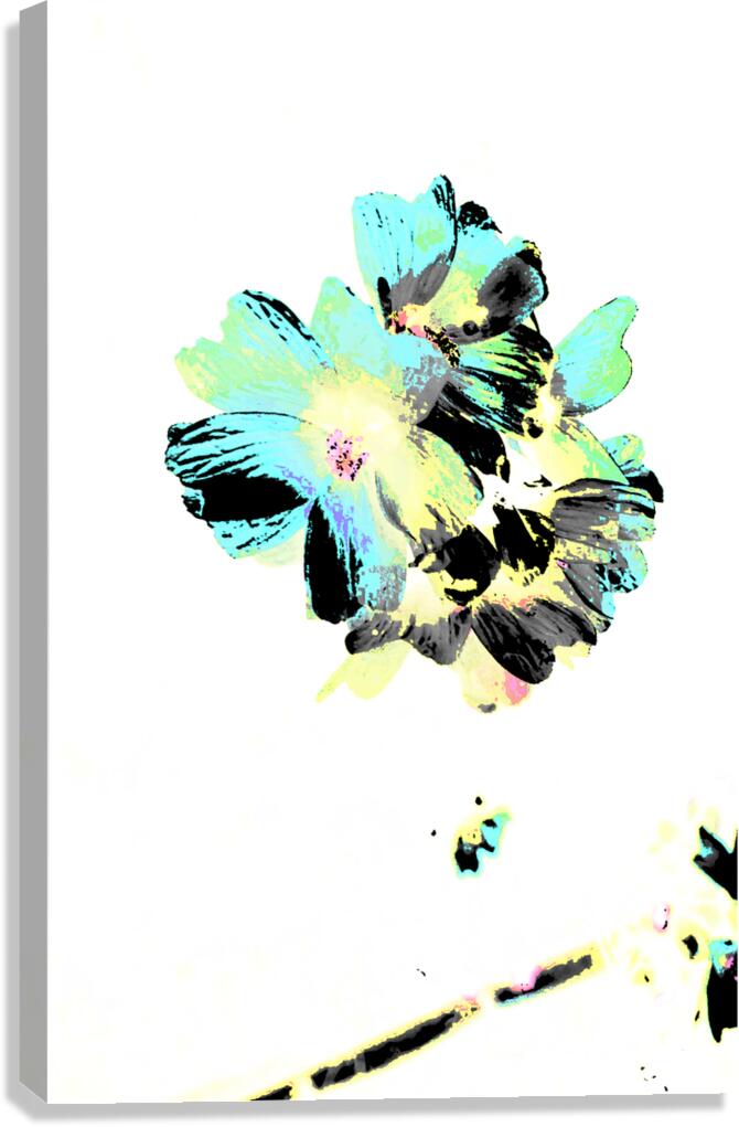   Abstract Contrasting Marshmallow Flowers Canvas Print