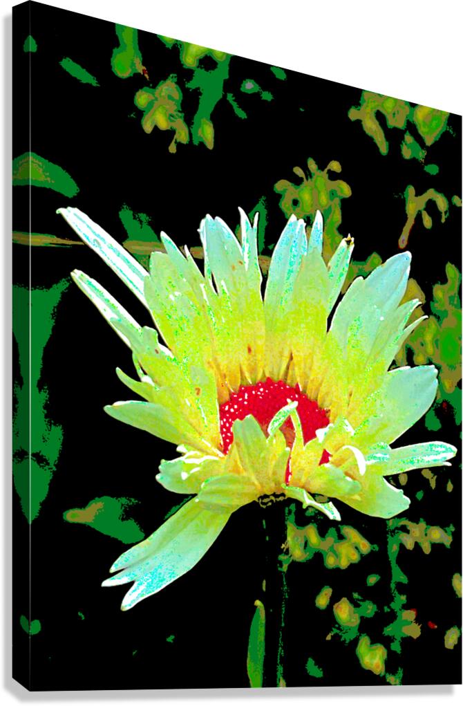Abstract Summer Daisy Flower Canvas Print
