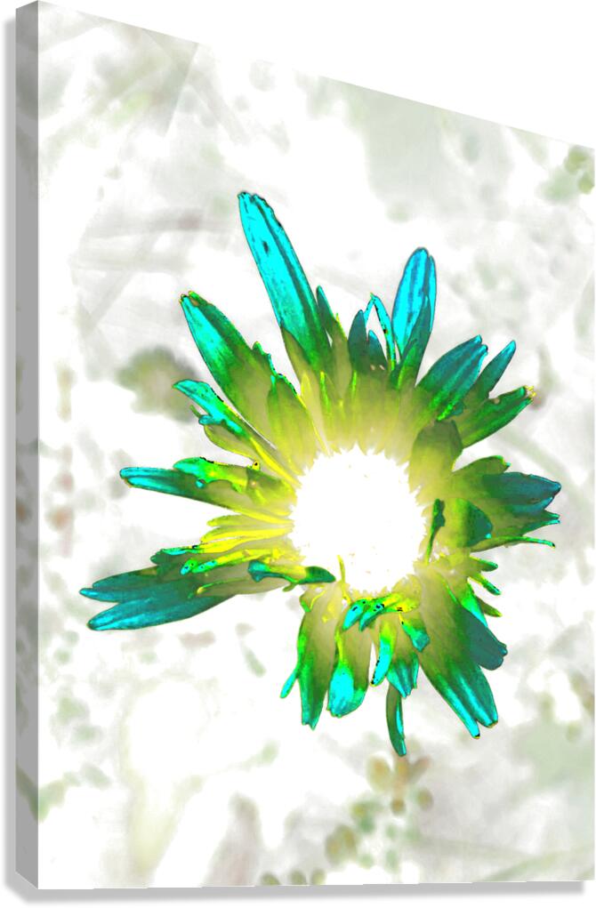 Abstract Daisy Flowers Light Canvas Print