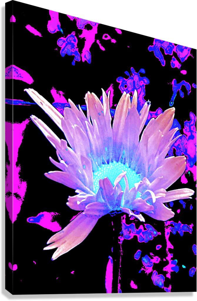 Abstract Summer Daisy Flower in Pinks and Purples  Canvas Print