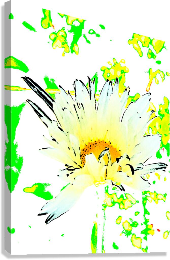 Abstract Summer Daisy Flower with a Yellow Centre Canvas Print