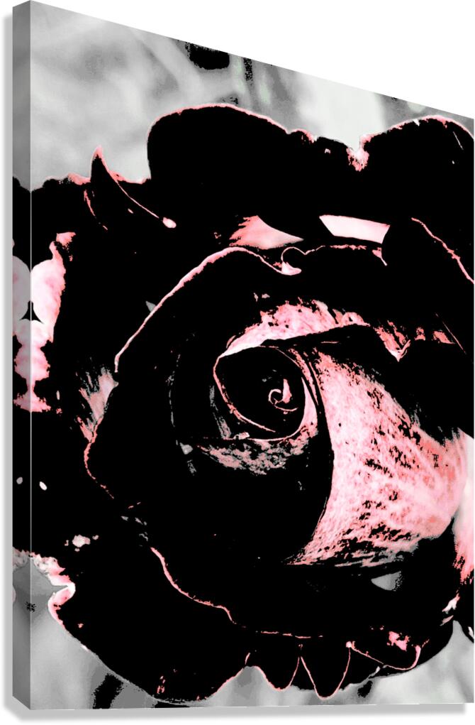Abstract Dark Pink Rose Canvas Print