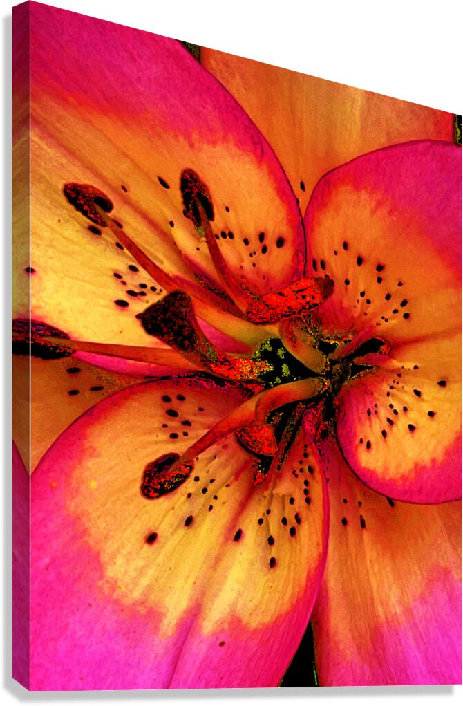 Abstract Close Up Lily Flower Canvas Print