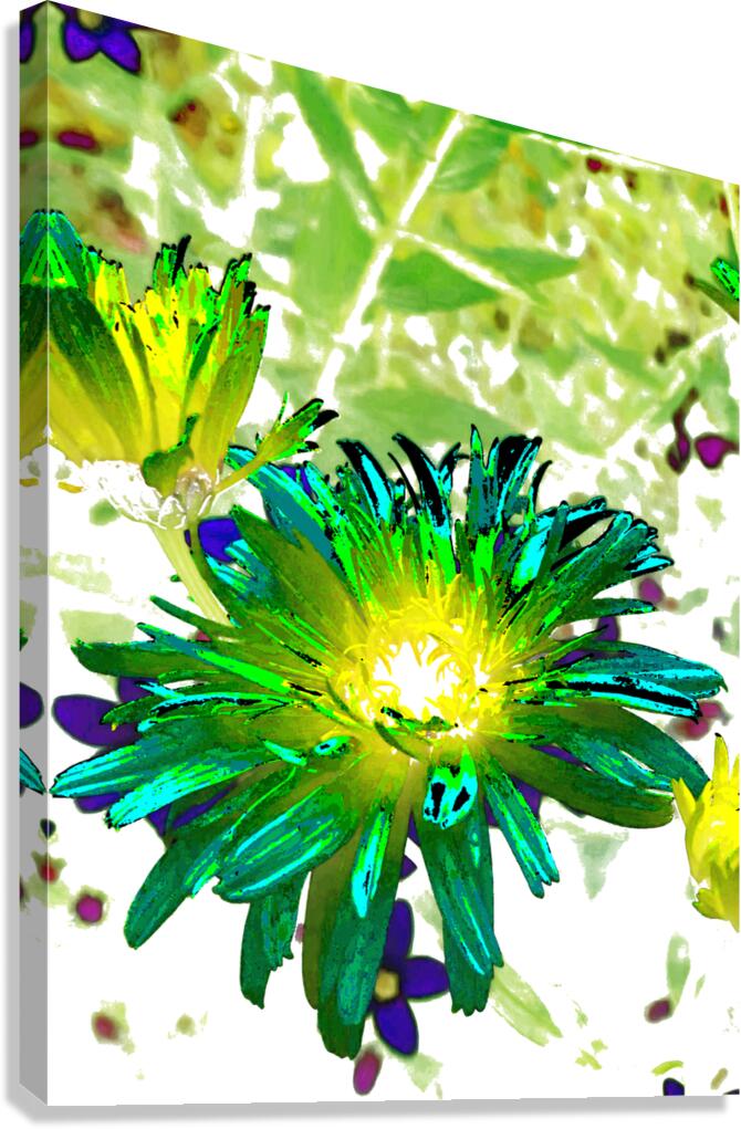Abstract Glowing Summer Daisy Light Canvas Print