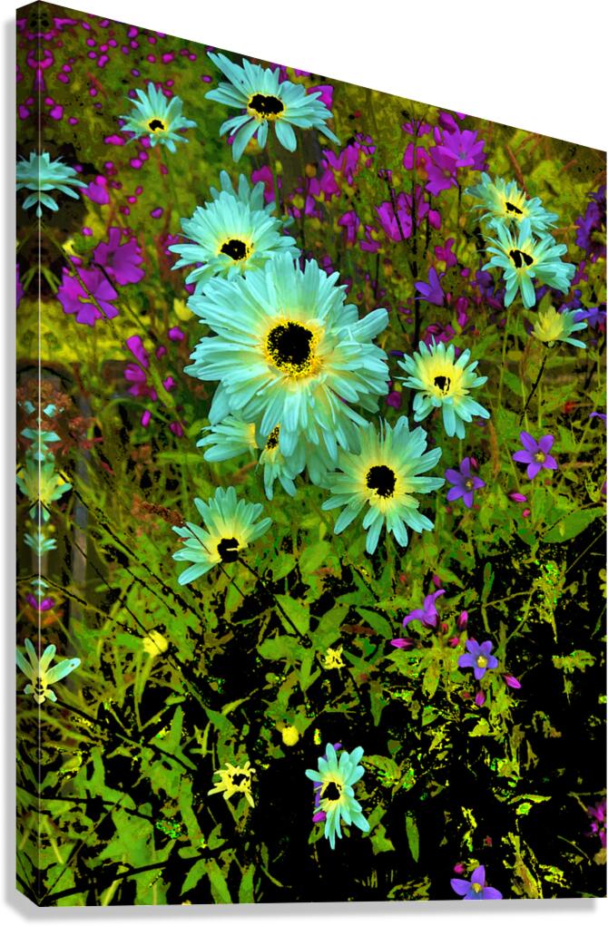 Abstract Vibrant Daises in the Garden Canvas Print