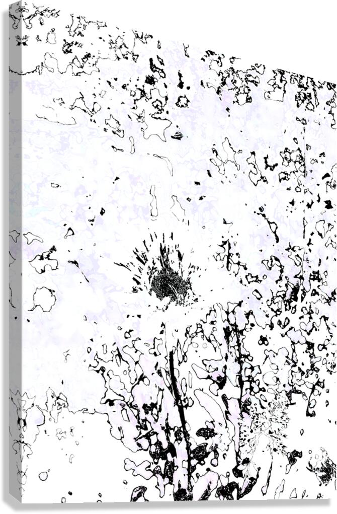 Abstract Monochrome Daisy Flower Canvas Print