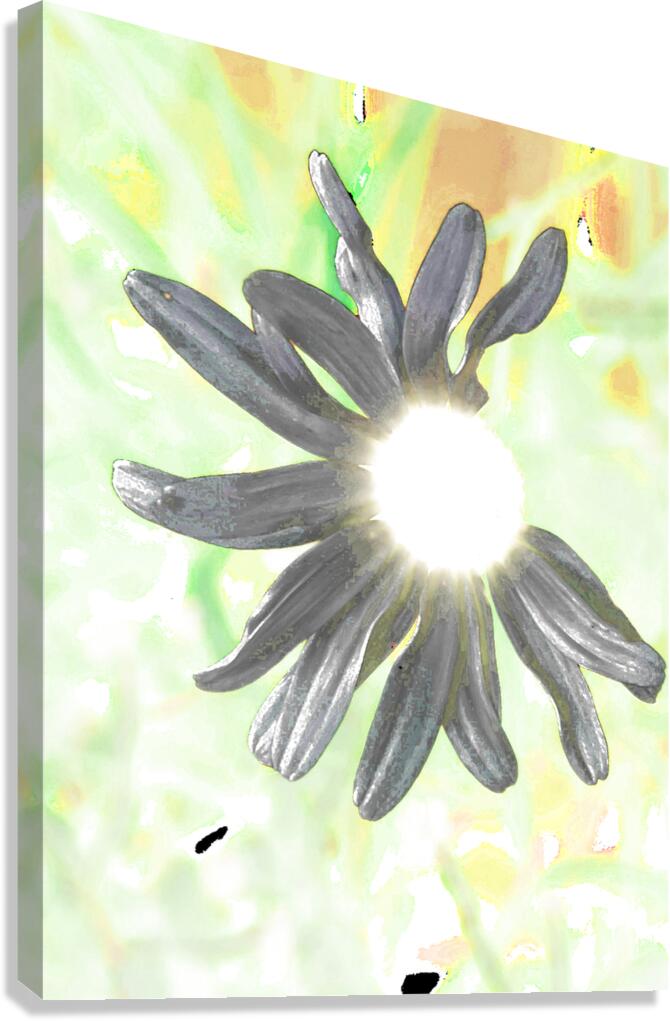  Abstract Daisy Sunbeam Canvas Print