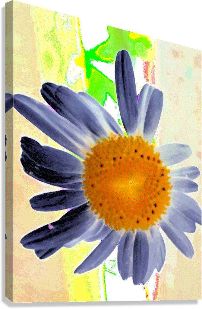 Abstract Surreal Daisy Flower Canvas Print
