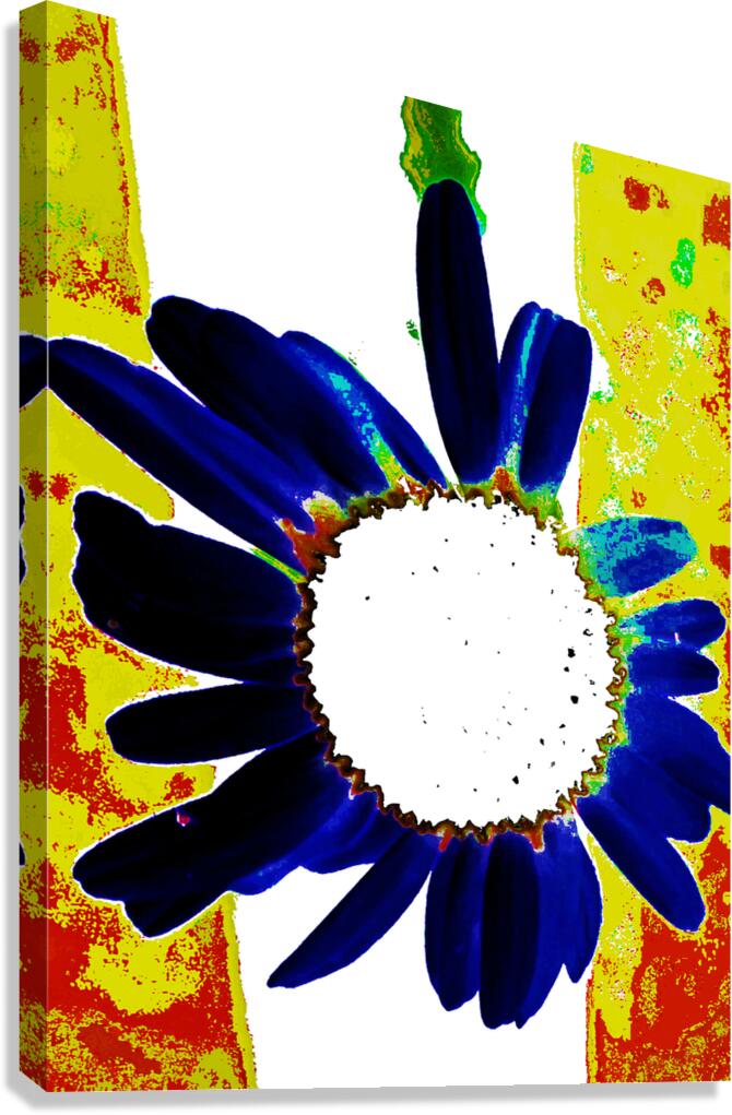  Abstract Large Daisy Flower  Canvas Print