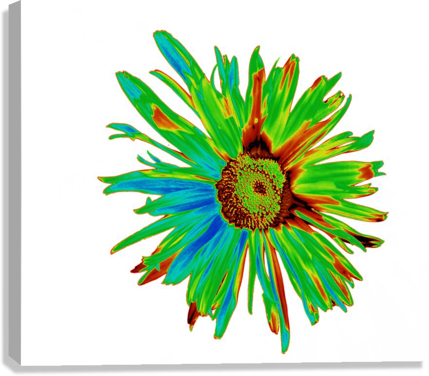 Abstract Neon Psychedelic Daisy Flower Canvas Print