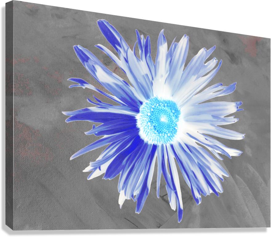 Abstract Luminescent Daisy Flower Canvas Print