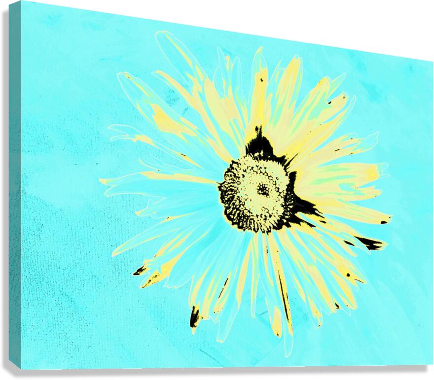Abstract Solitary Daisy Flower on a Coloured Abstract Background Canvas Print