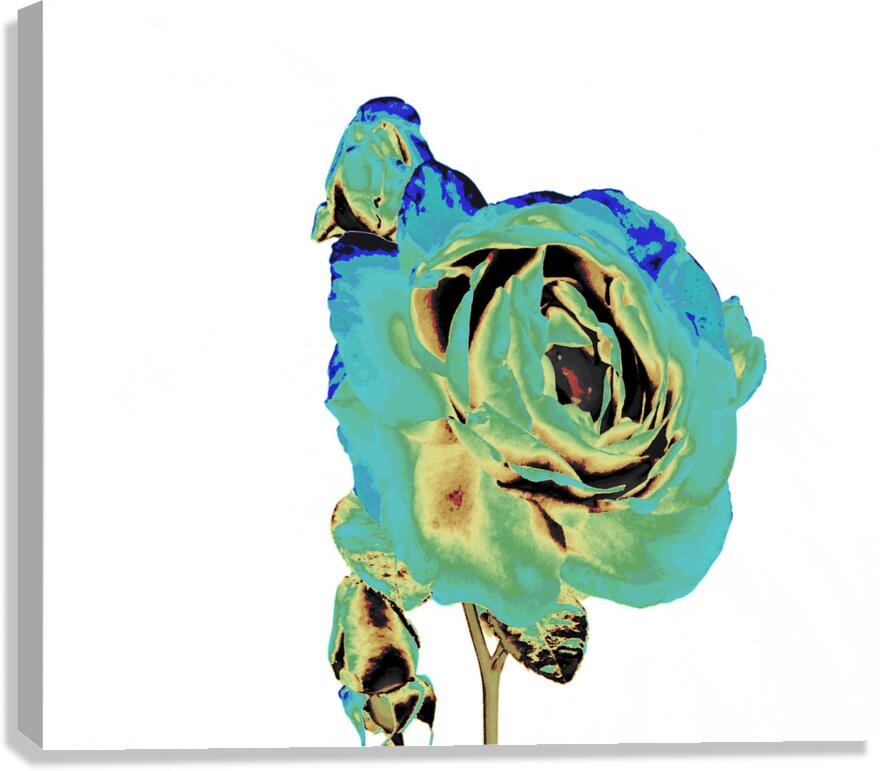 Abstract Cyan and Green Rose Canvas Print
