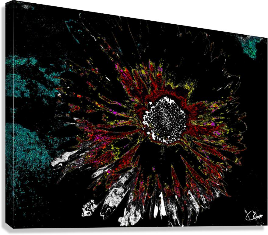 Abstract Vibrant Dark Daisy on an Abstract Background  Canvas Print