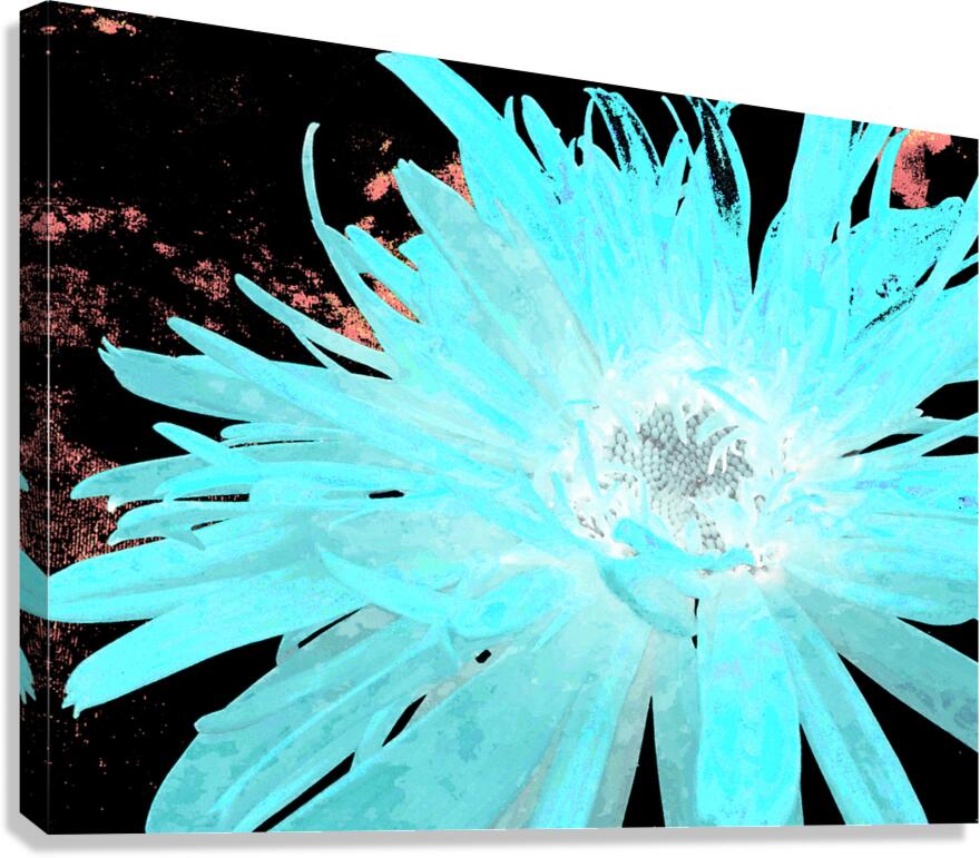 Abstract Turquoise Daisy Flower Canvas Print
