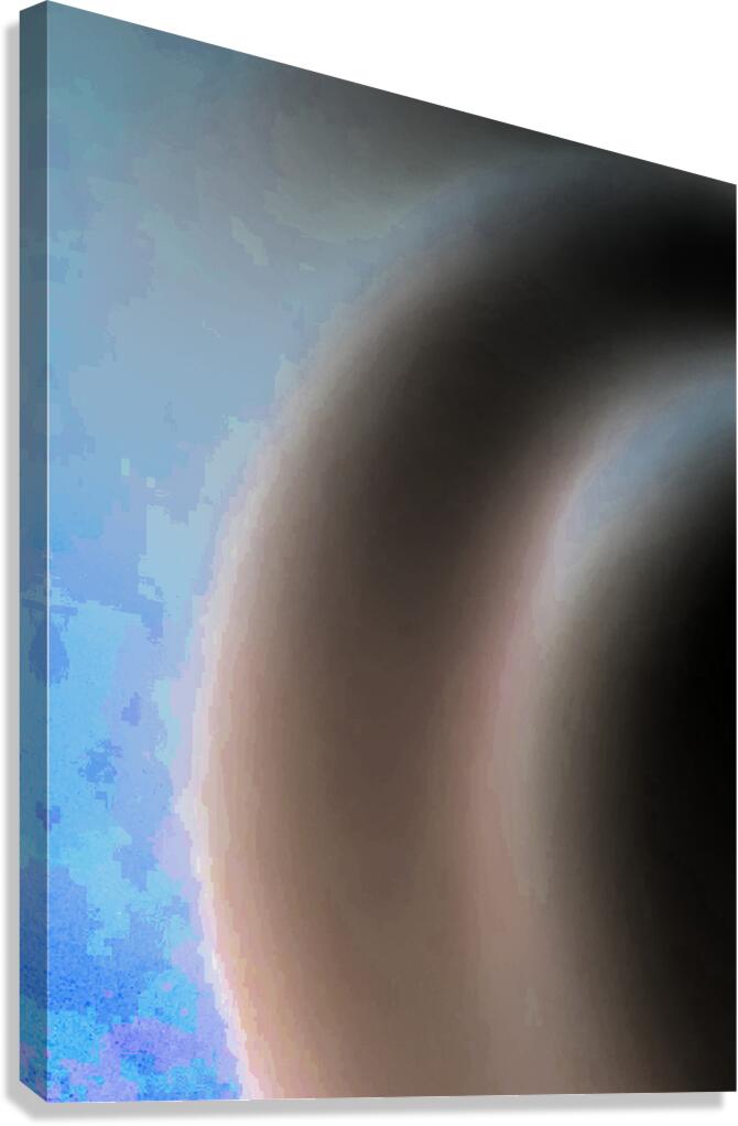 Cool Abstract Transition Canvas Print