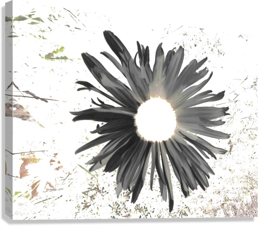 Abstract Dark Daisy Star Light Canvas Print