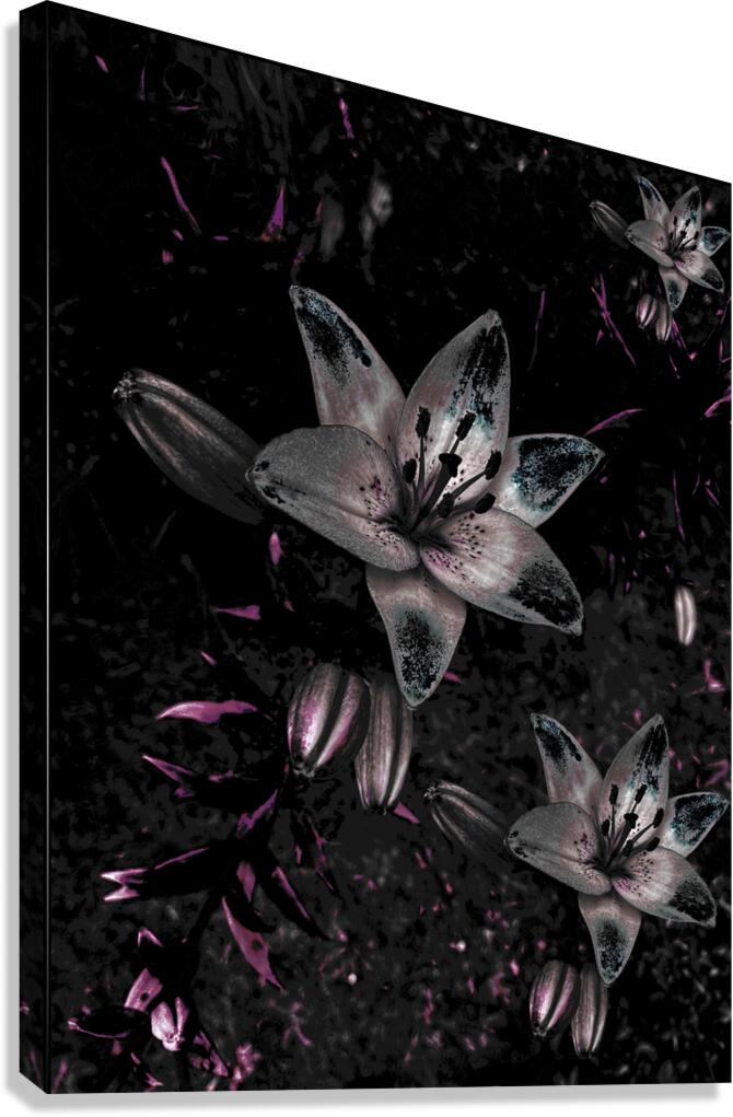 Abstract Dark Moody Lilies Canvas Print
