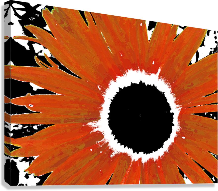 Abstract Orange Daisy Canvas Print