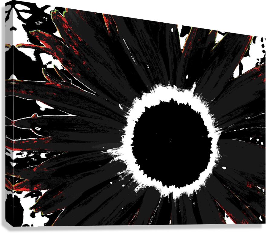 Abstract Black and White Daisy Canvas Print