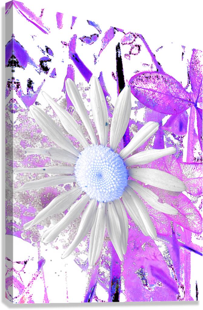 Cool Vivid Abstract Daisy Canvas Print