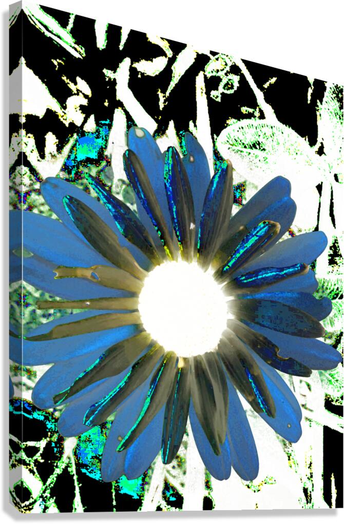 Cool Abstract Daisy Flower Canvas Print