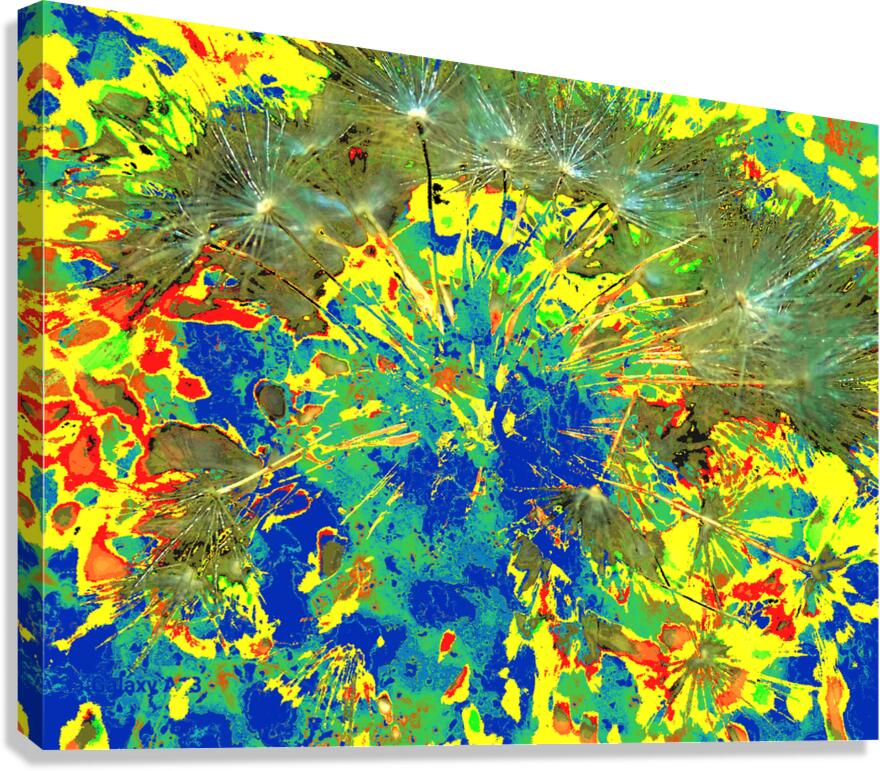 Abstract Colourful Dandelion Seeds  Canvas Print