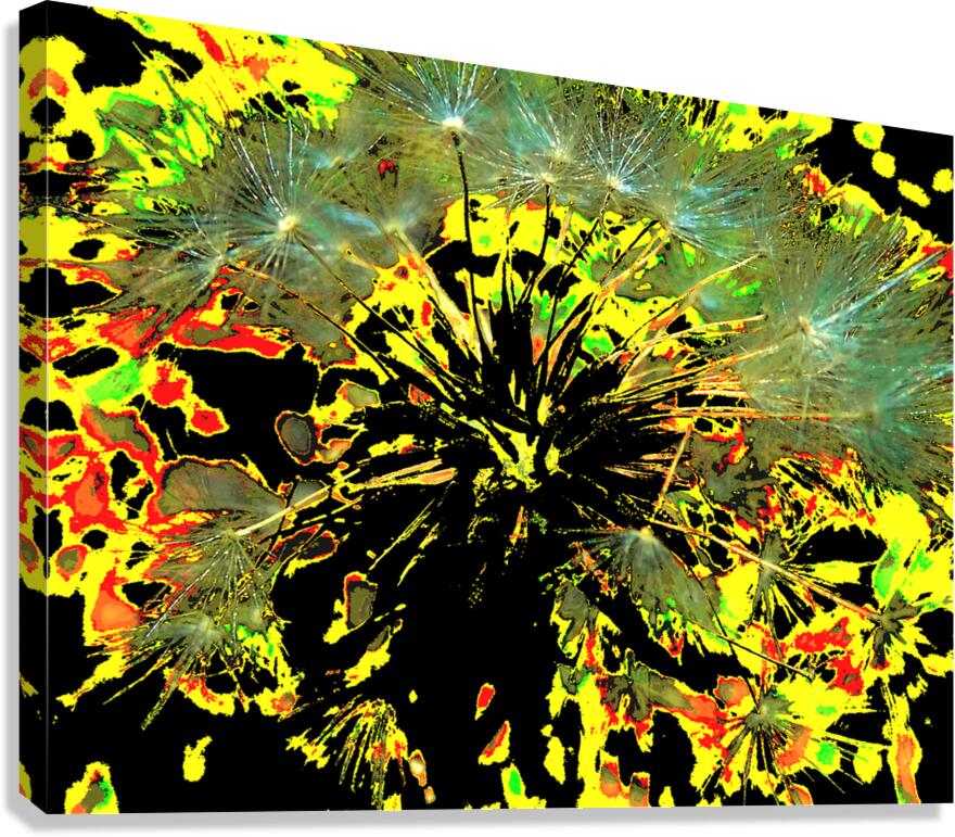 Bright Abstract Dandelion Clock Canvas Print