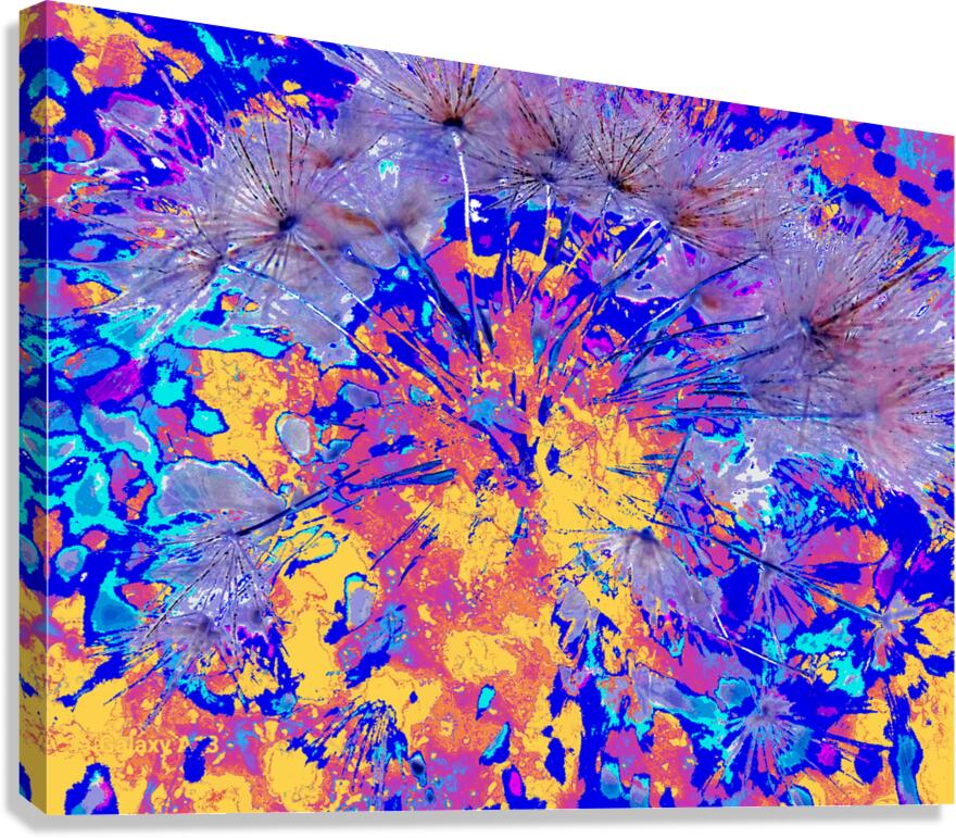 Vibrant Abstract Dandelion Seeds   Canvas Print