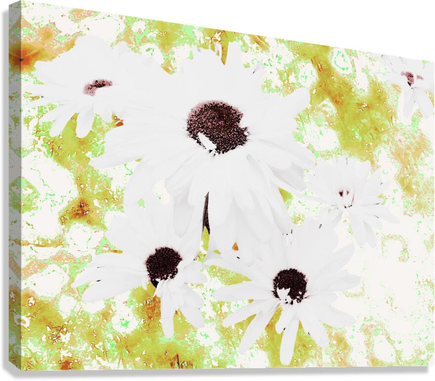  Abstract White Daises on a Green Background Canvas Print