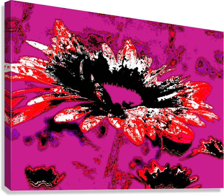Abstract Red and Black Daisy Flower Canvas Print