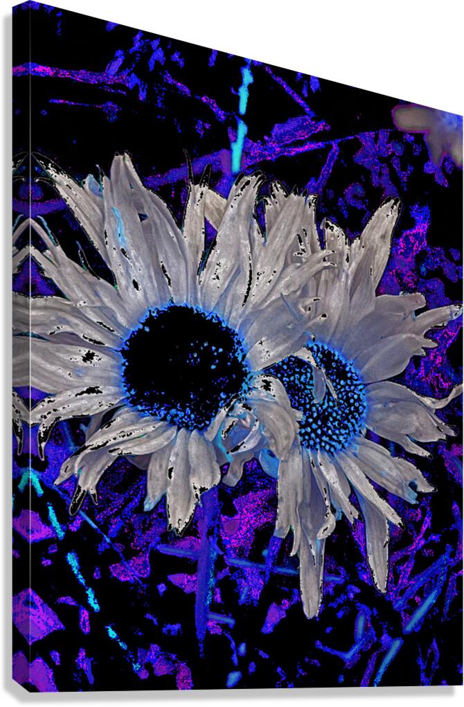 Abstract Daises Duo on an Abstract Background  Canvas Print