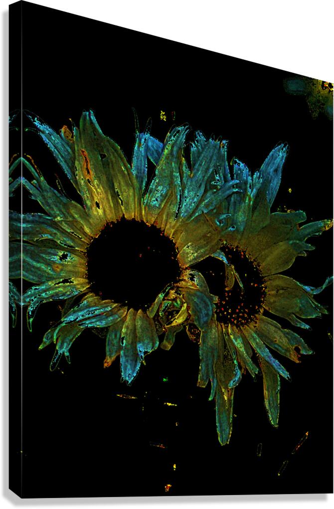 Abstract Daisy Duo on a Dark Background Canvas Print