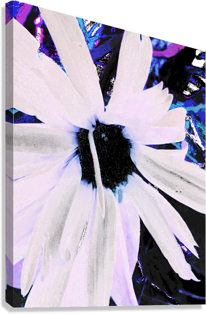 Abstract Daisy Flower in White Canvas Print