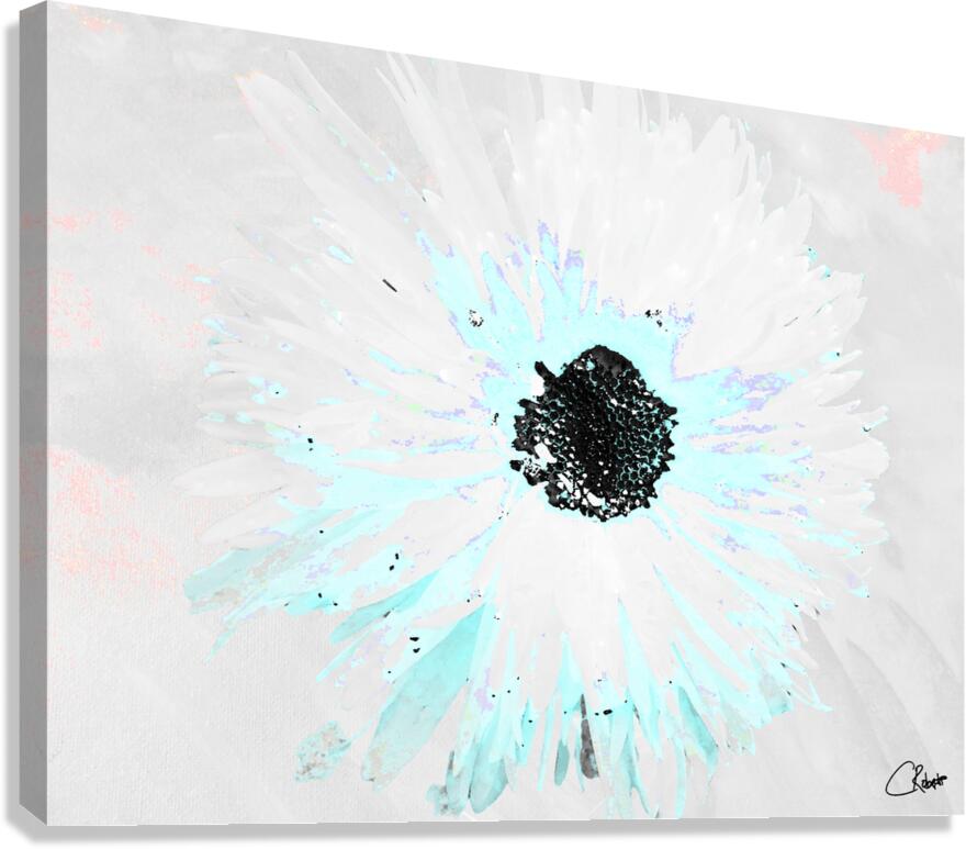 Abstract Aqua Daisy Canvas Print