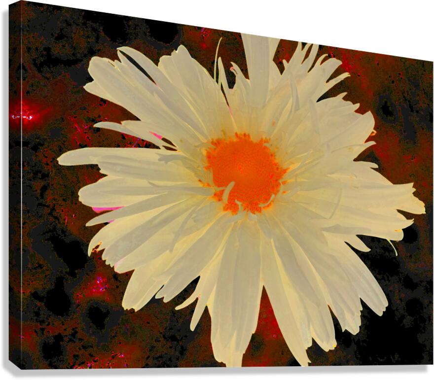 Abstract Orange Daisy with Abstract Background Canvas Print