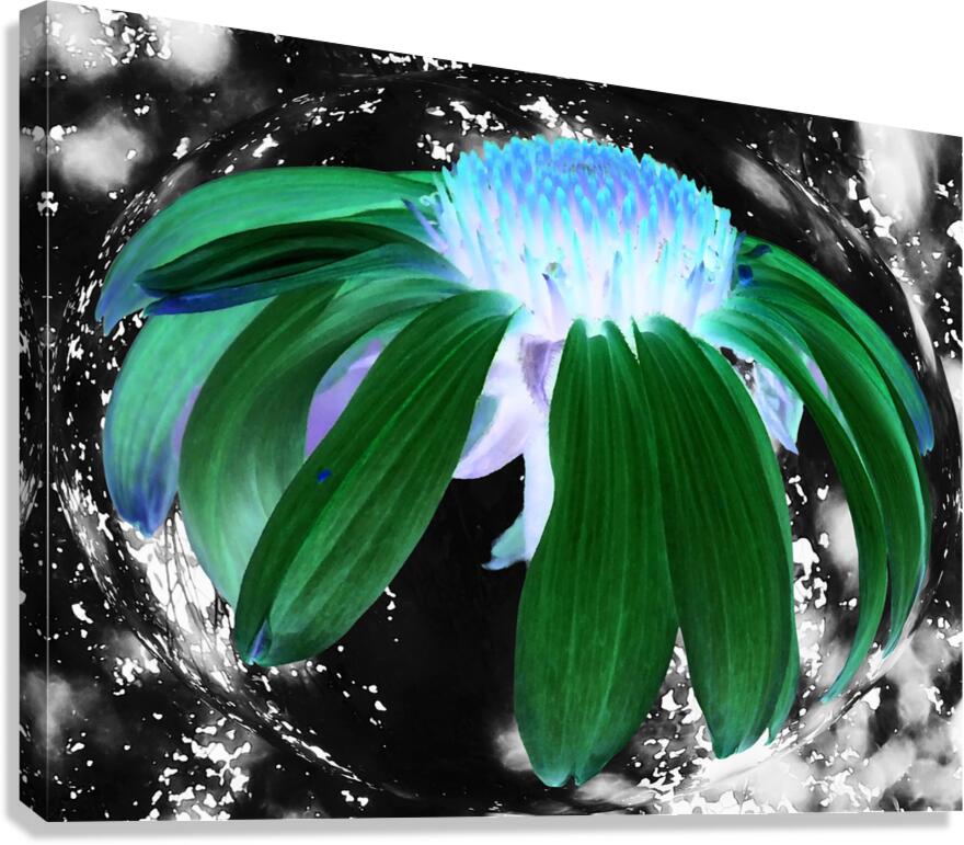  Abstract Green Cone Flower Canvas Print