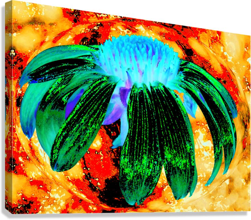 Abstract Green Cone Flower Too on an Orange Abstract Background  Canvas Print