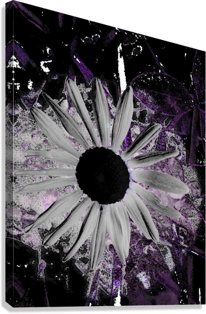 Abstract Dark Daisy Flower Canvas Print