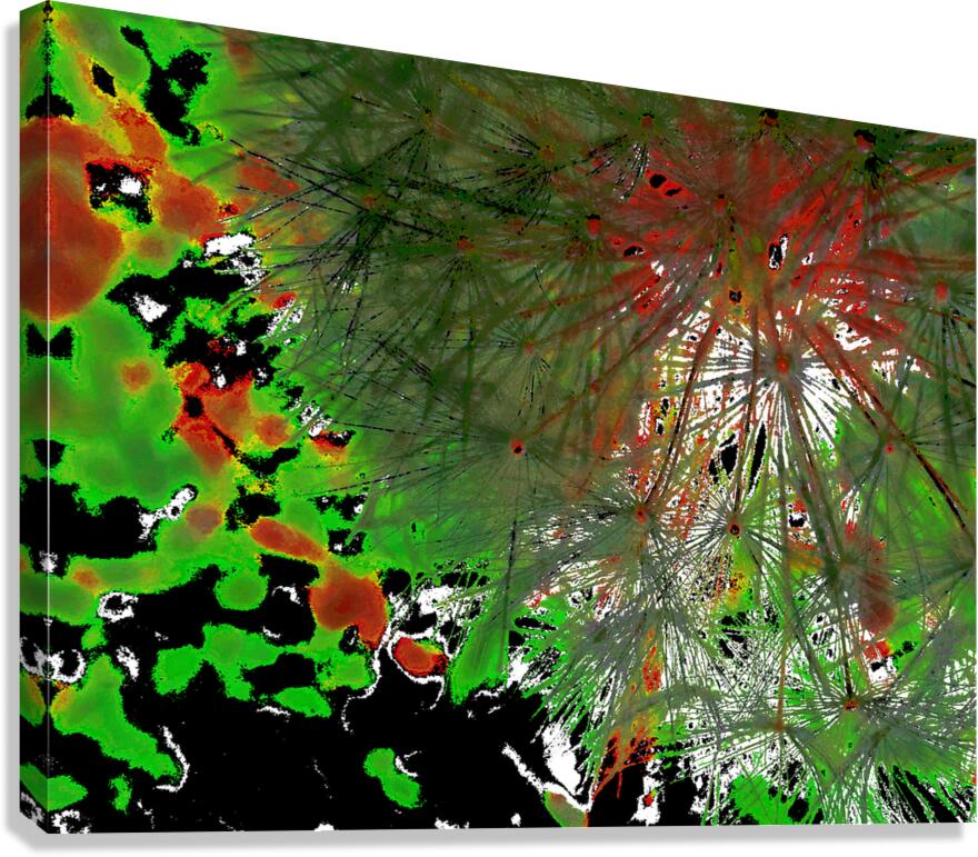Abstract Vivid Red and Green Dandelion Corner Canvas Print