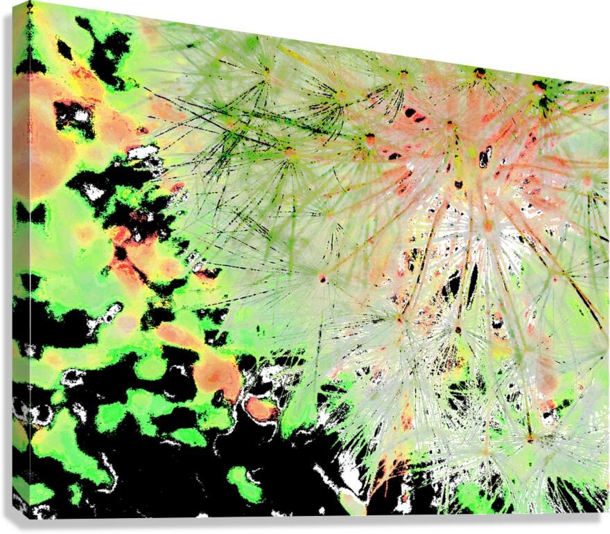 Abstract Wispy Dandelion Corner Canvas Print