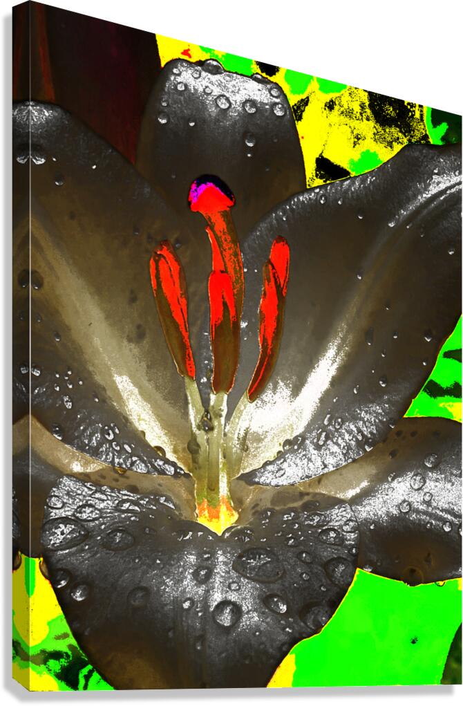 Abstract Vibrant Graffiti Lily Flower Canvas Print