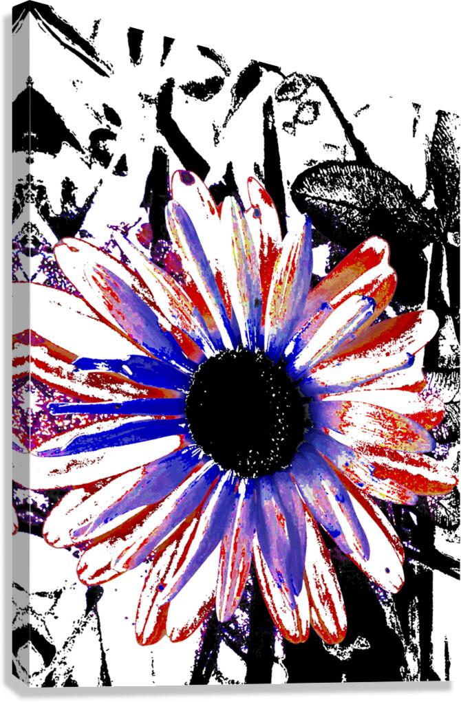 Abstract Vibrant Contrasting Daisy Flower Canvas Print
